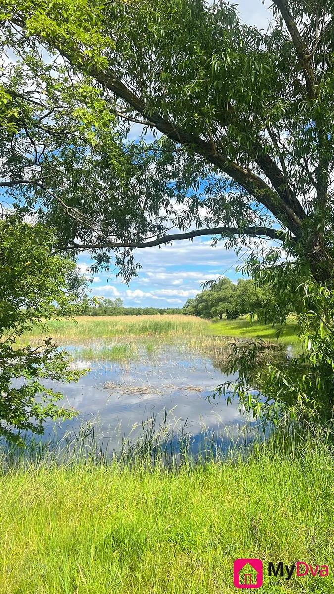 Fotka 10 z 10