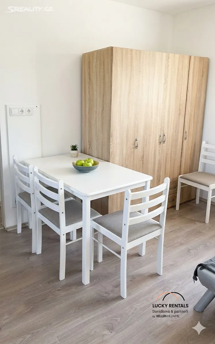 Pronájem bytu 1+kk 34 m² - Widok 3