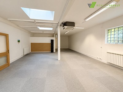 Gewerbefläche zur Miete, 199 m² (2 von 7)
