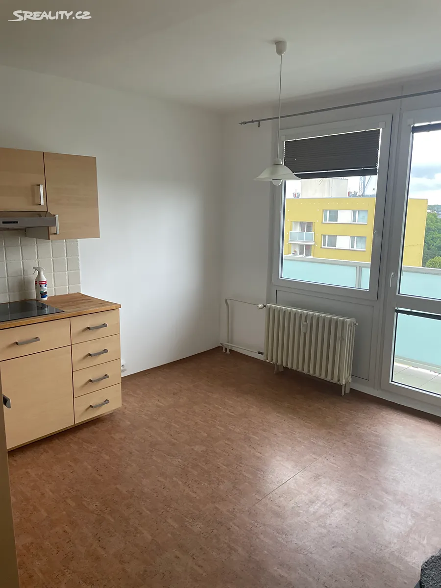 Pronájem bytu 1+1 45 m² – pohled 2