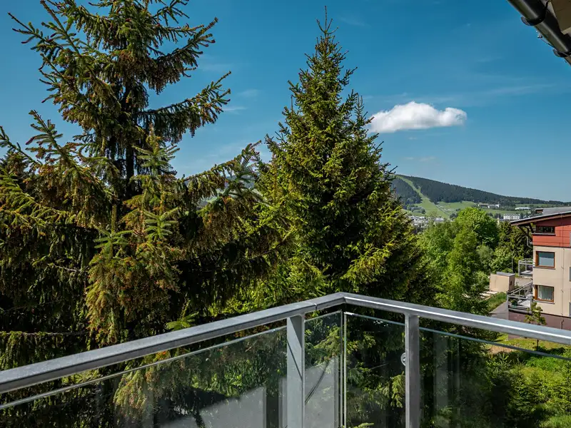Prodej bytu 2+kk 55 m², Loučná pod Klínovcem – náhled fotky 2