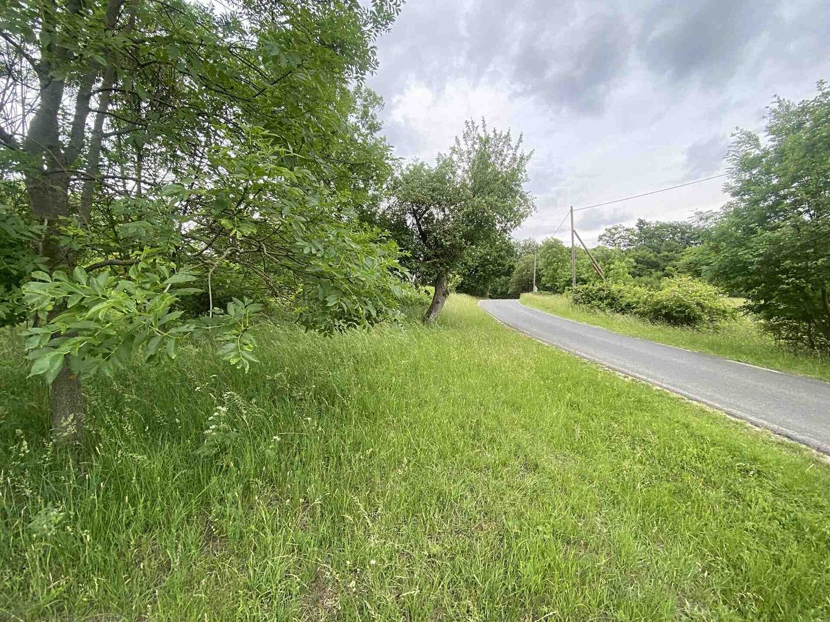 Prodej pole 12772 m² – fotografie 2