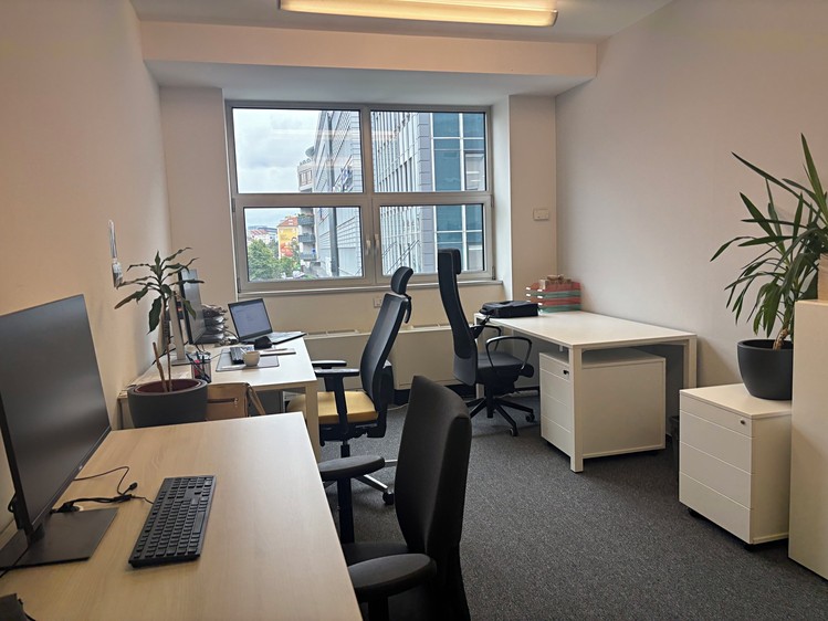 Pronájem komerčního prostoru, 150 m² (7 z 7)