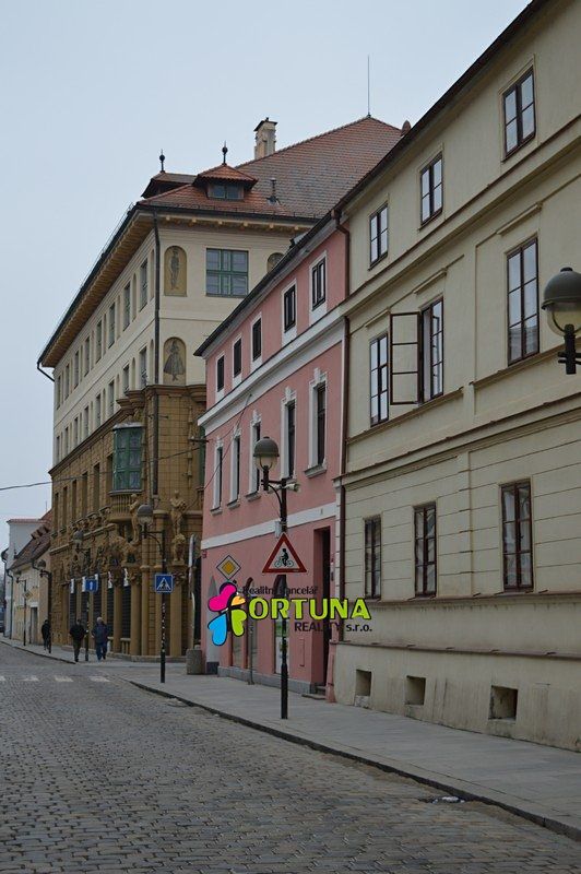 Prodej obchodního prostoru 1563 m² – fotografie 3
