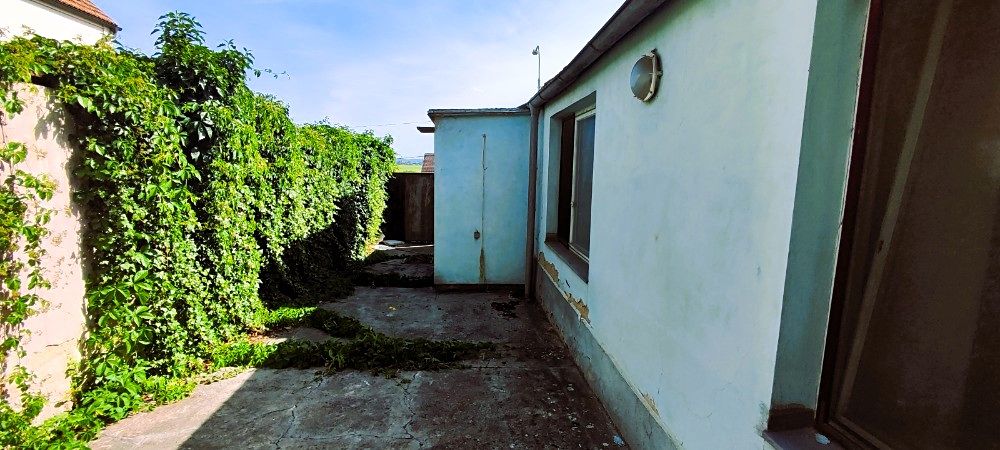Prodej rodinného domu 75 m², pozemek 374 m² – fotografie 4