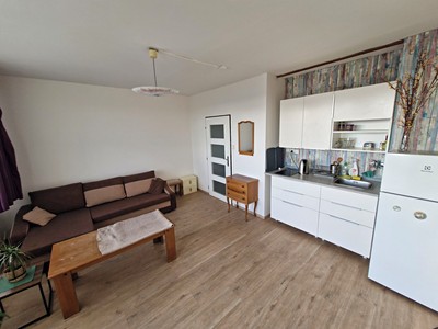 Pronájem bytu 1+kk 35 m²