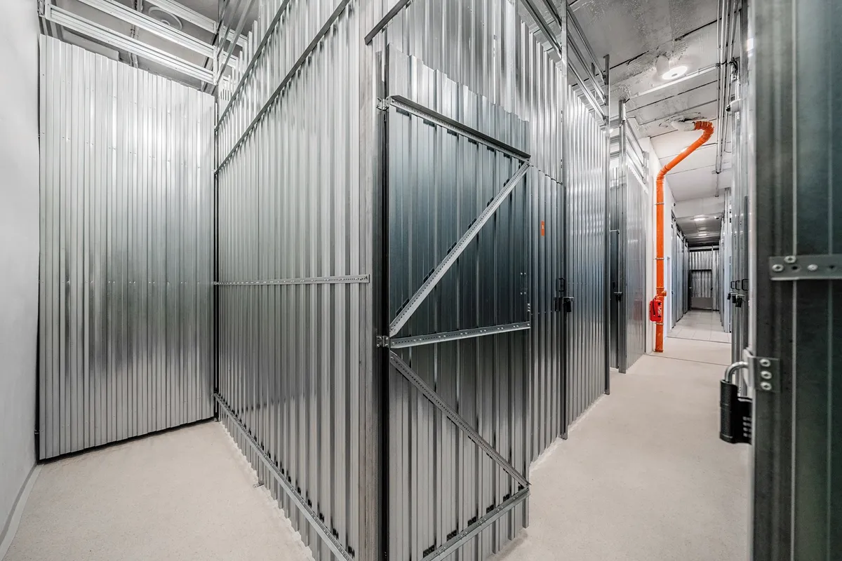 Fotka 6 z 11