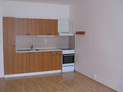 Pronájem bytu 1+kk 37 m²