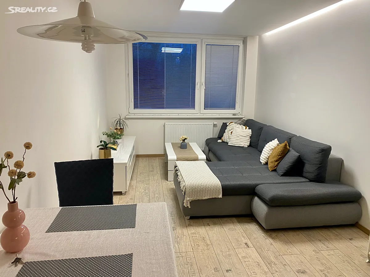 Pronájem bytu 2+kk 46 m², Drimlova