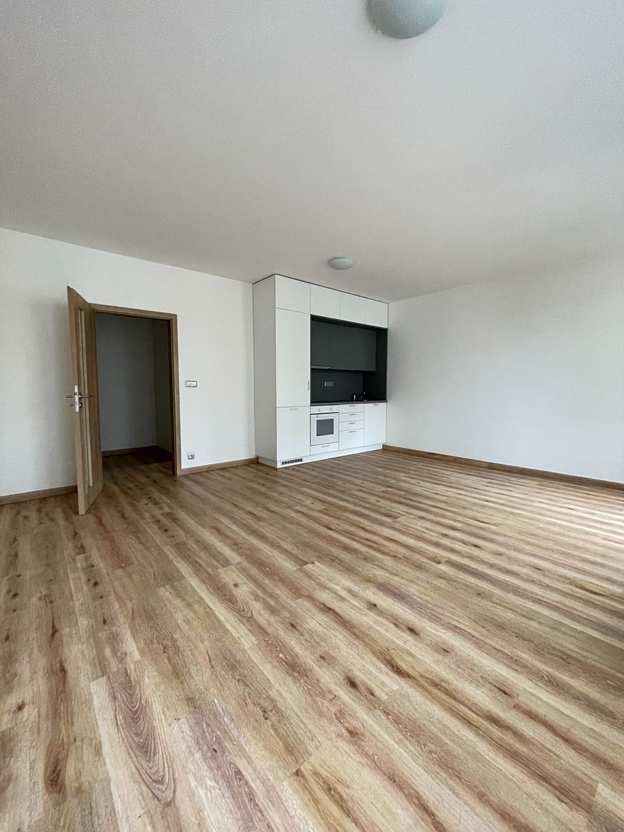 Pronájem bytu 1+kk 46 m² – fotografie 5