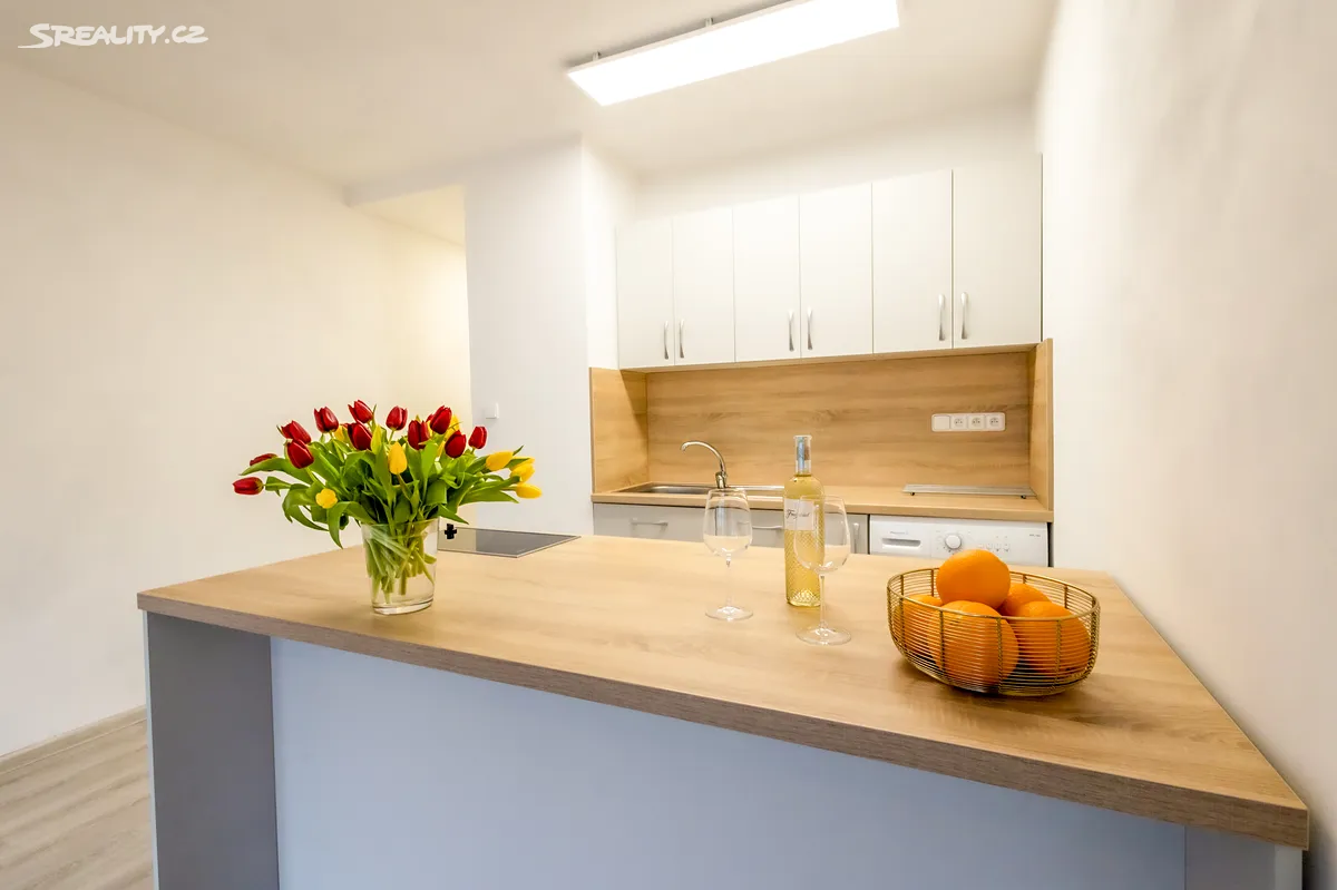 Pronájem bytu 1+kk 29 m², Ostrava