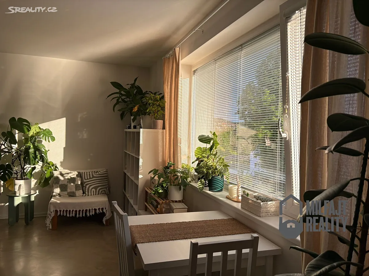 Pronájem bytu 1+kk 36 m², Hodkovická