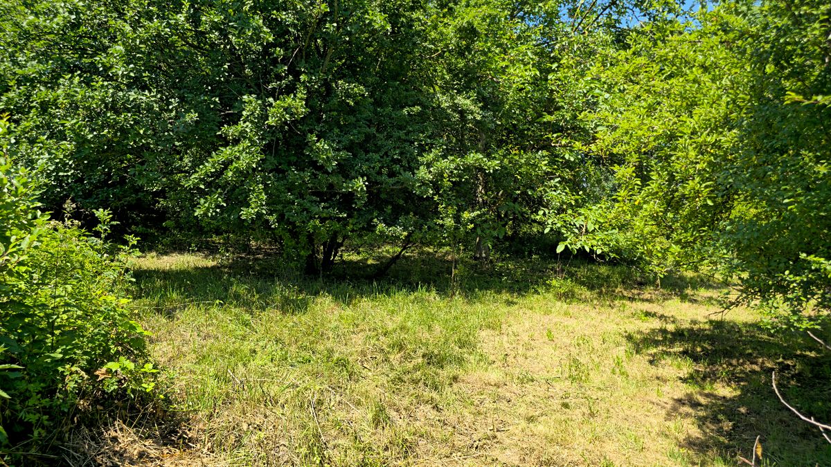 Prodej stavebního pozemku 998 m² – fotografie 5
