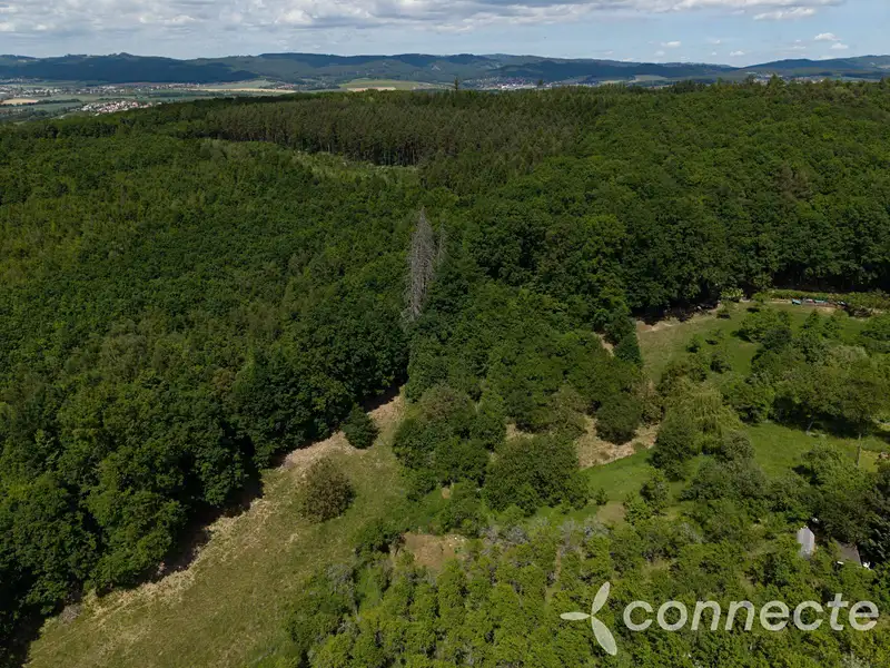 Prodej louky 3131 m², Zlín – náhled fotky 3
