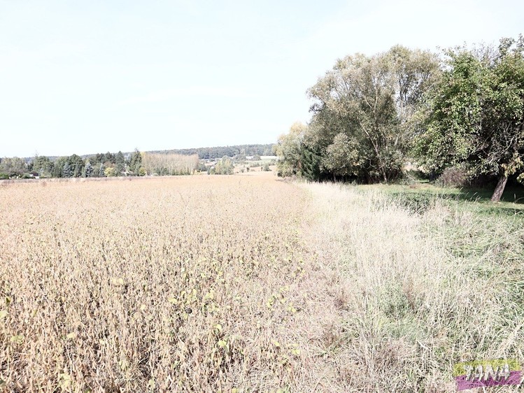 Grundstück zum Kauf, 27.614 m² (4 von 5)