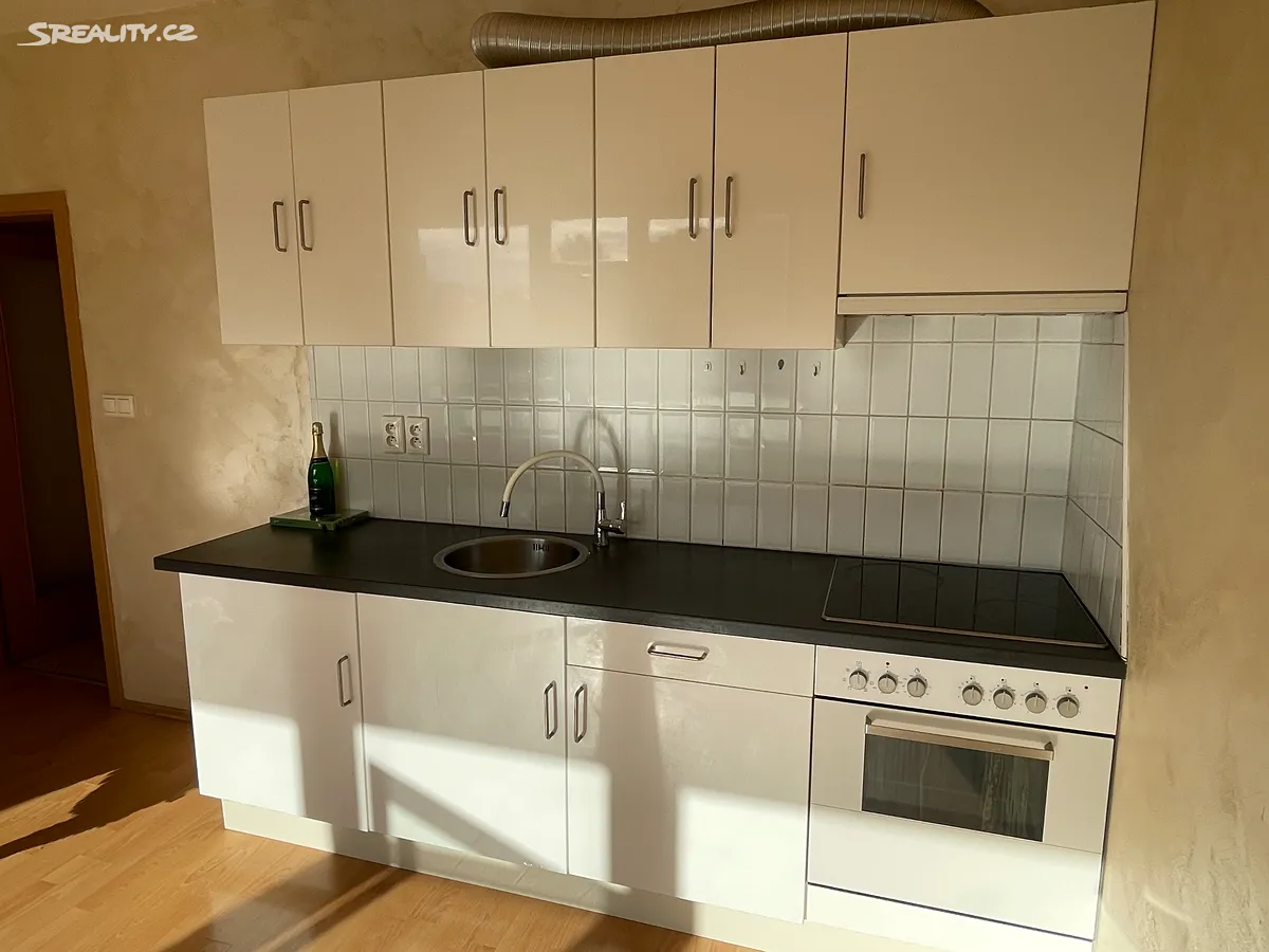 Pronájem bytu 1+kk 42 m² – pohled 4