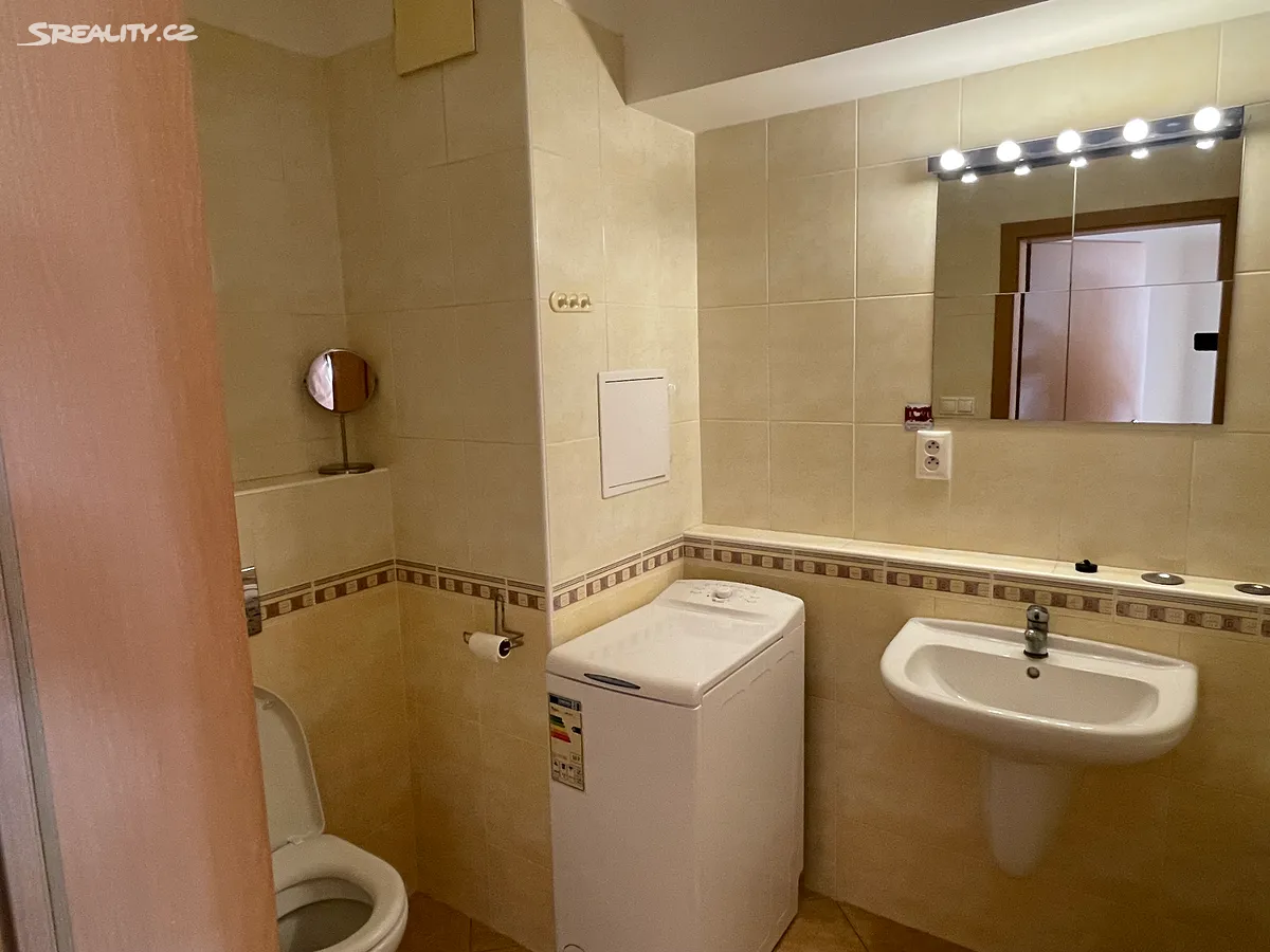 Pronájem bytu 1+kk 42 m² – další