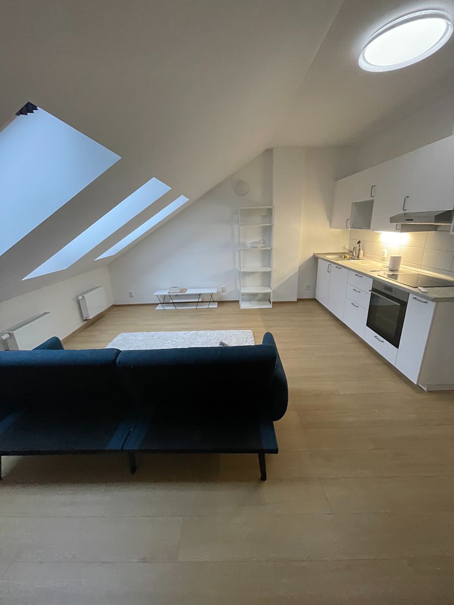 Pronájem bytu 1+kk 42 m²