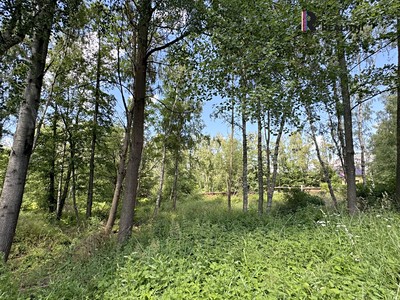 Prodej pozemku, 3 000 m² (3 z 9)