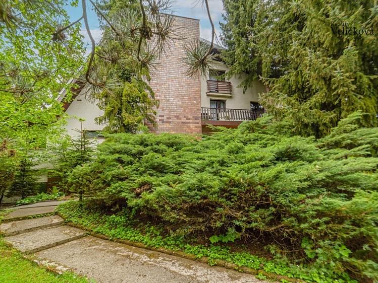 Prodej komerčního prostoru, 700 m² (37 z 41)