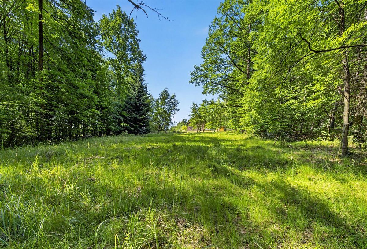 Prodej stavebního pozemku 2167 m² – fotografie 5