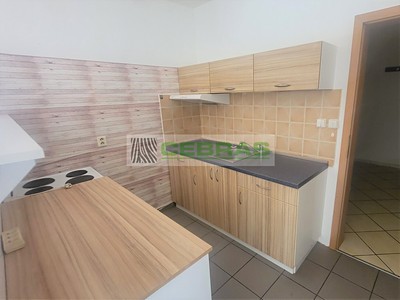 Pronájem bytu 1+kk 50 m²