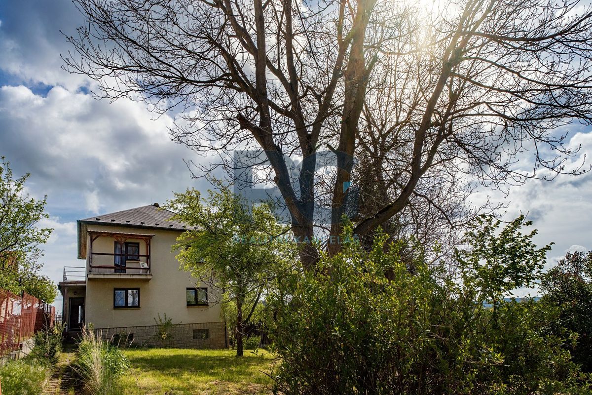 Prodej vícegeneračního domu 190 m², pozemek 835 m² – fotografie 2