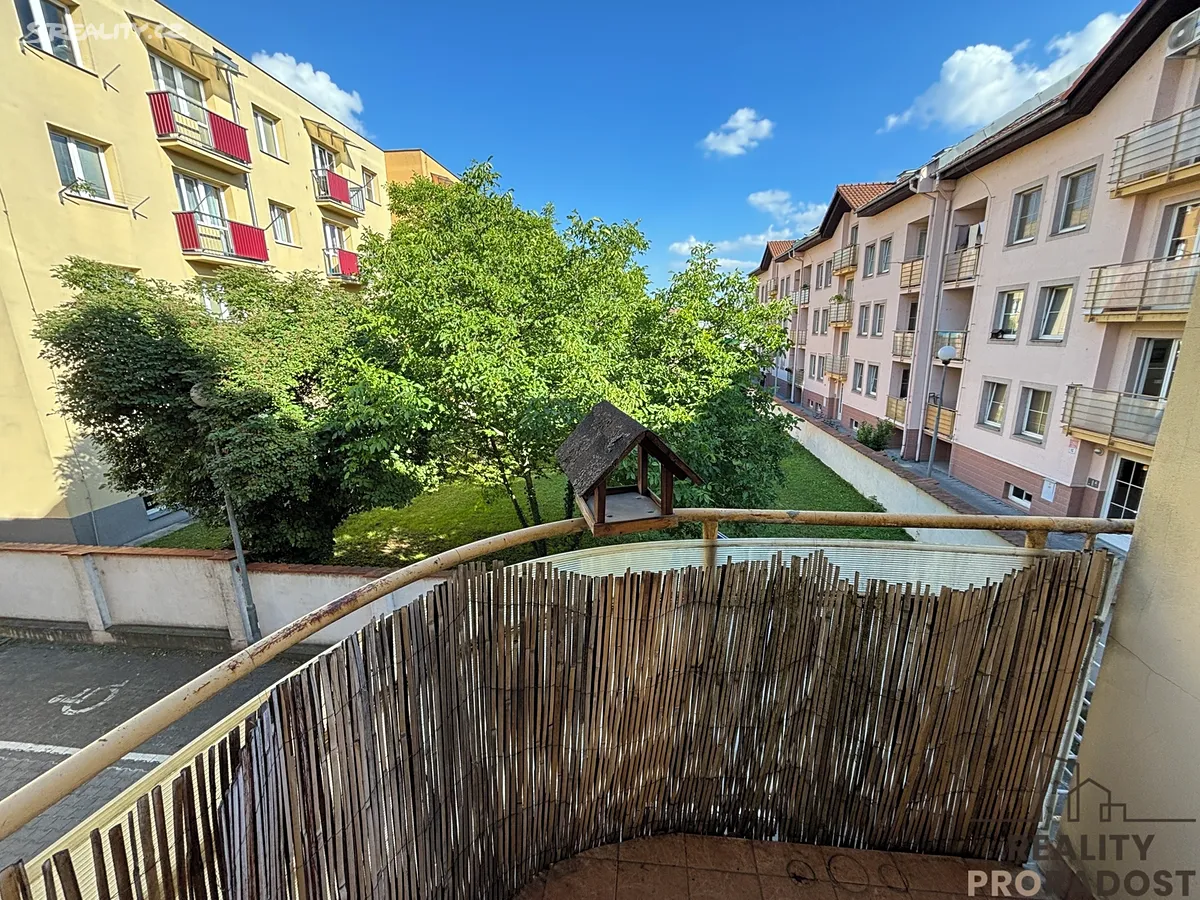 Pronájem bytu 1+1 32 m² – pohled 2