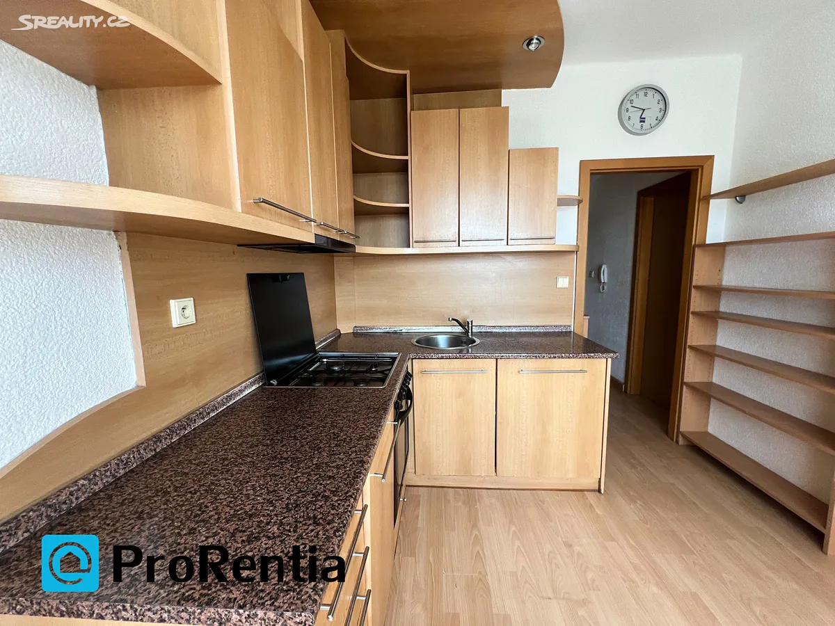Pronájem bytu 2+1 43 m² – pohled 4