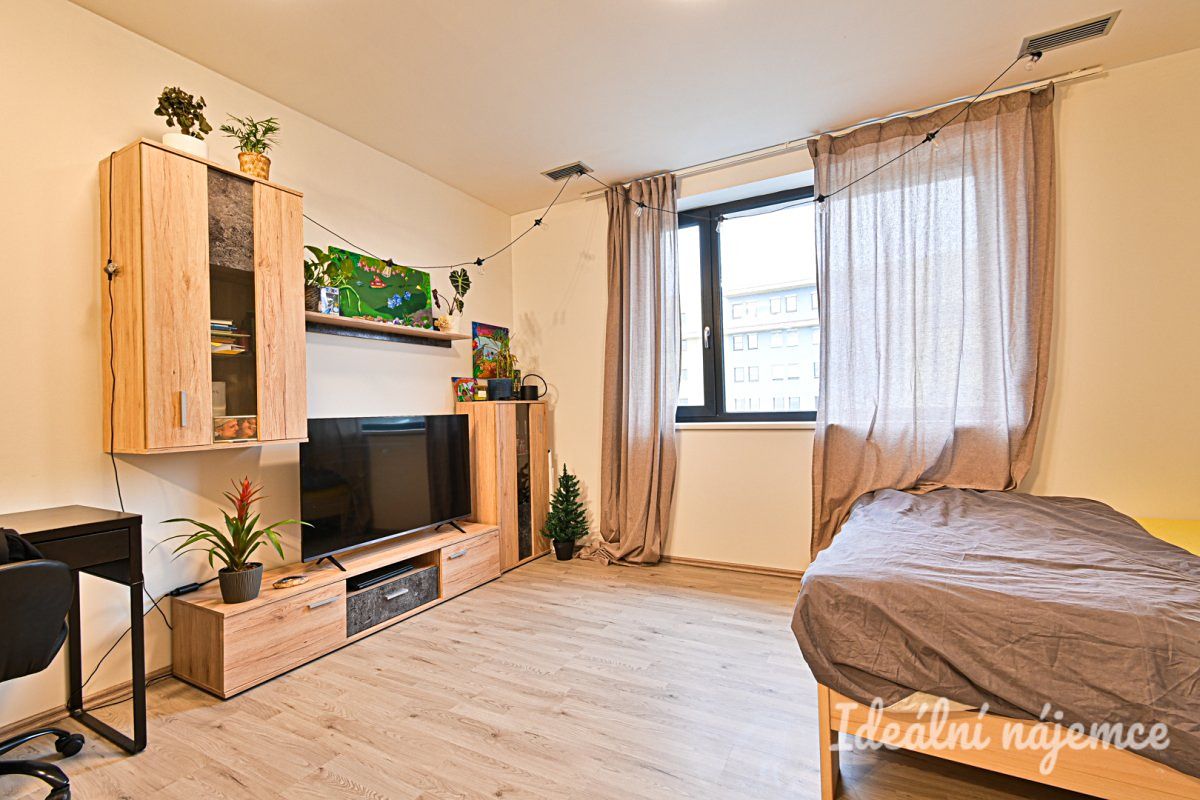 Pronájem bytu 1+kk 34 m²