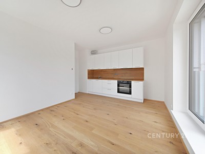 Pronájem bytu 2+kk 42 m²
