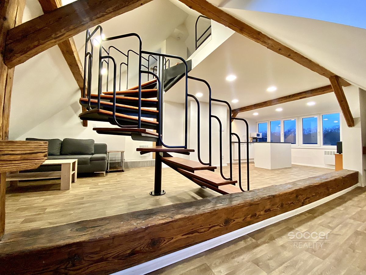 Pronájem bytu 1+kk 45 m²