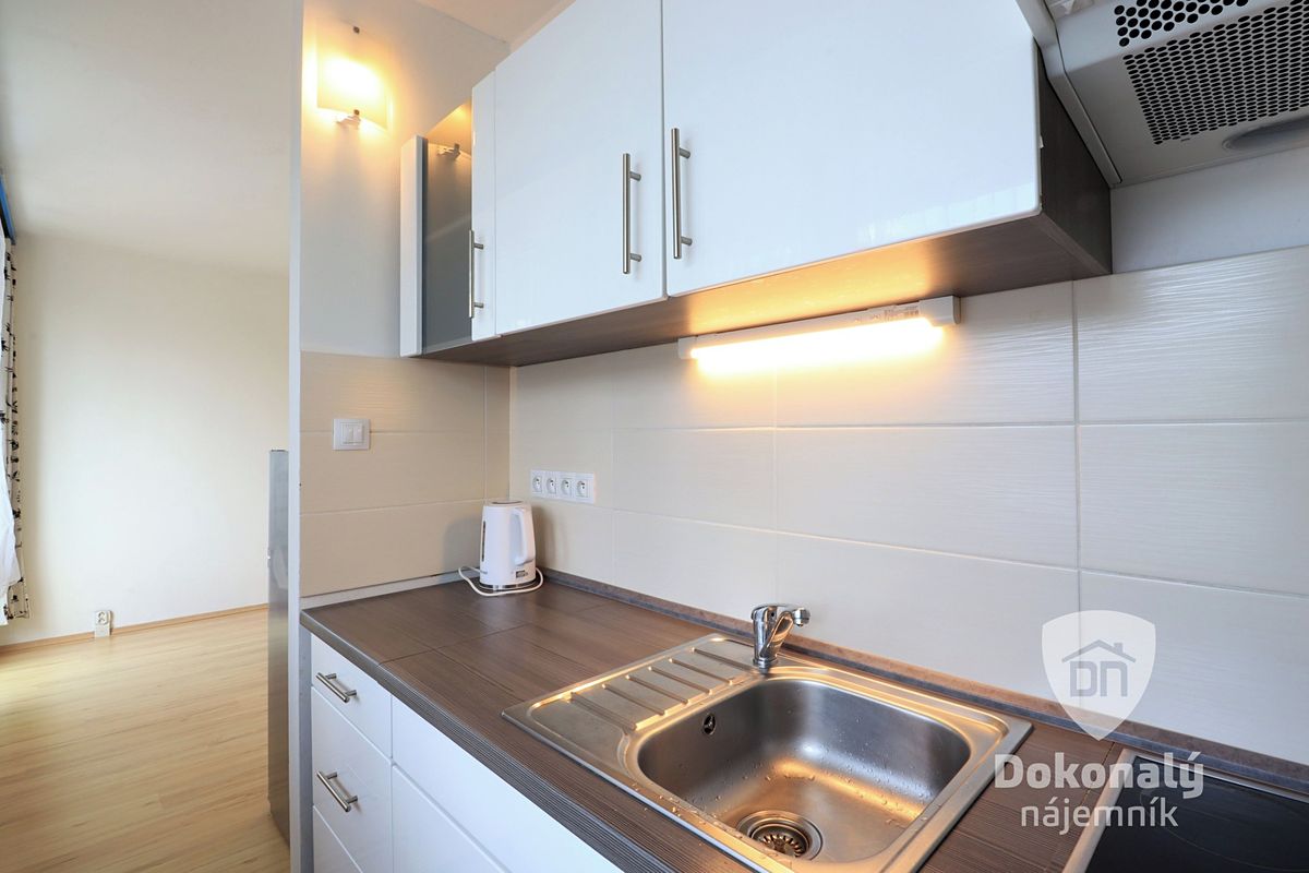 Pronájem bytu 1+kk 33 m²