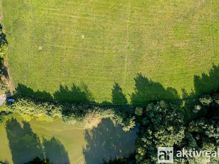 Prodej pozemku, 6 500 m² (4 z 22)