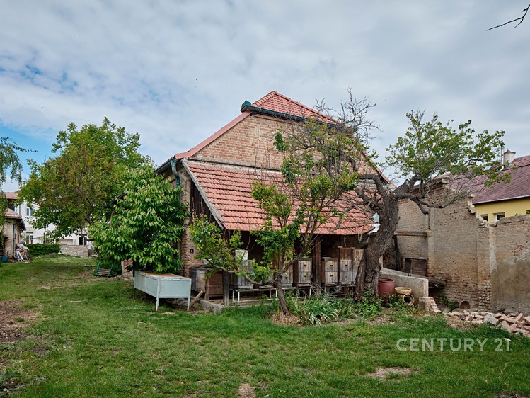 Ostatní