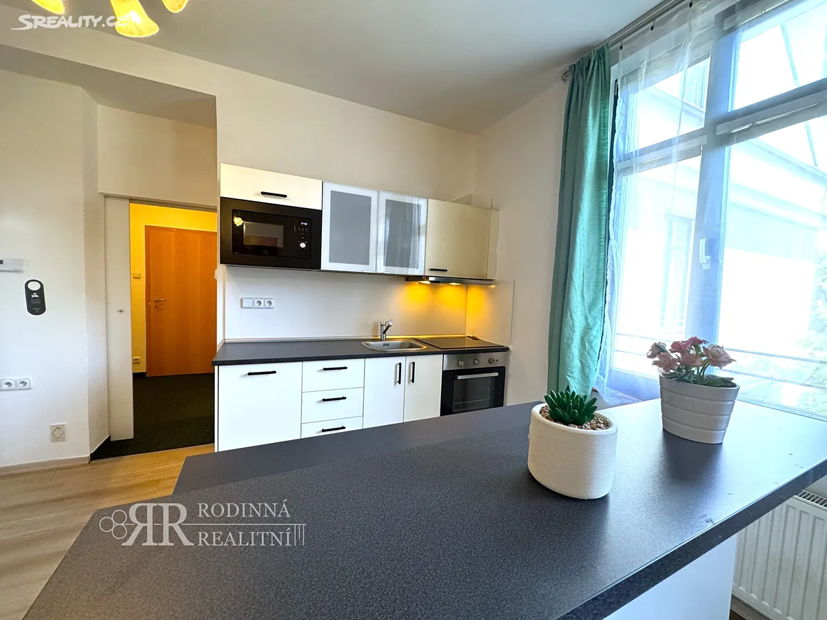 Pronájem bytu 1+kk 40 m² – pohled 3
