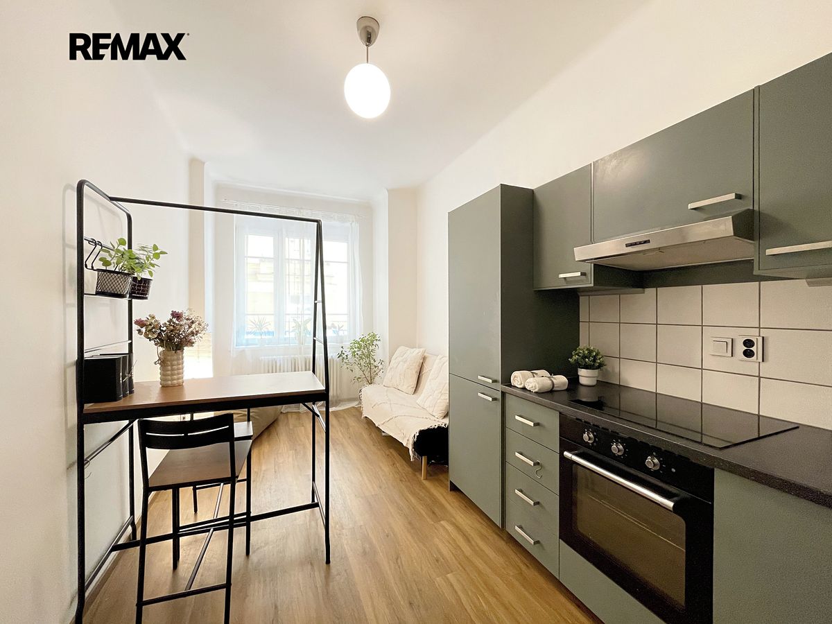 Pronájem bytu 1+1 48 m²