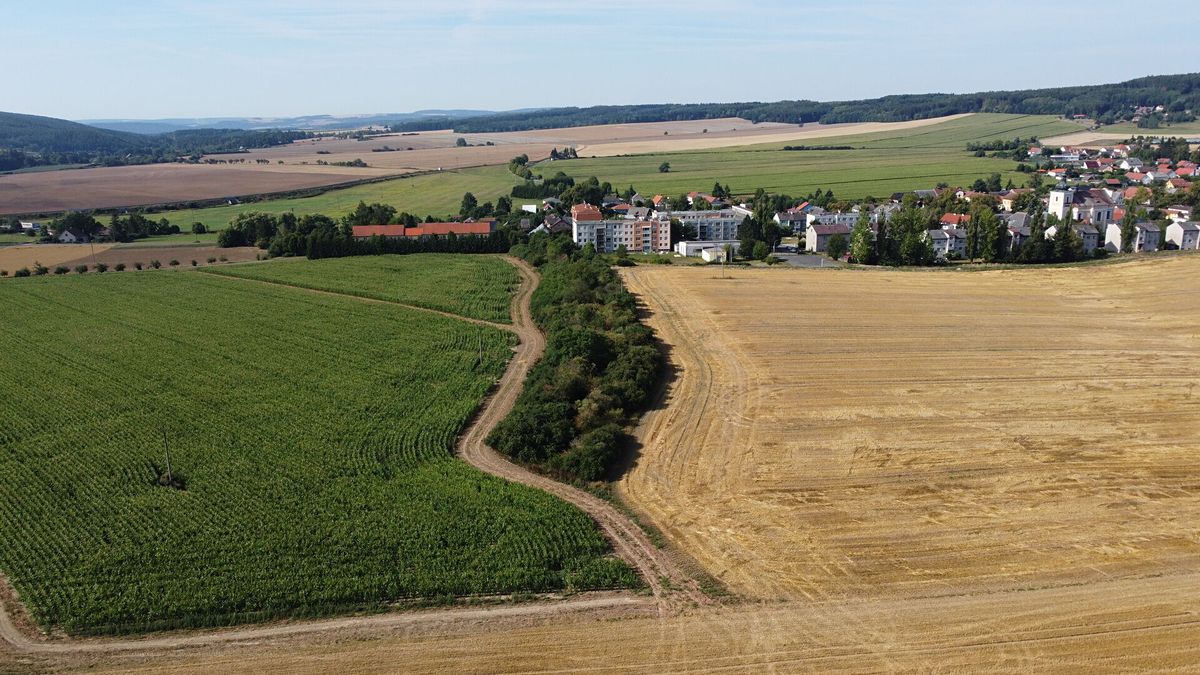 Prodej pole 6167 m²