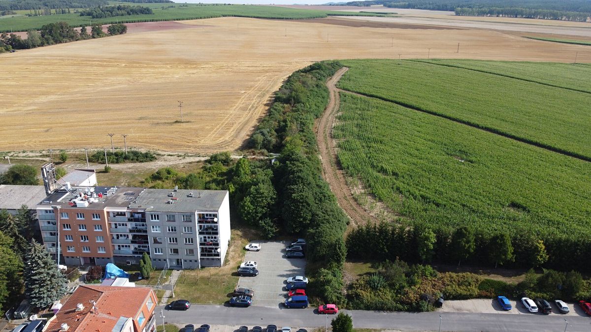 Prodej pole 6167 m² – fotografie 3