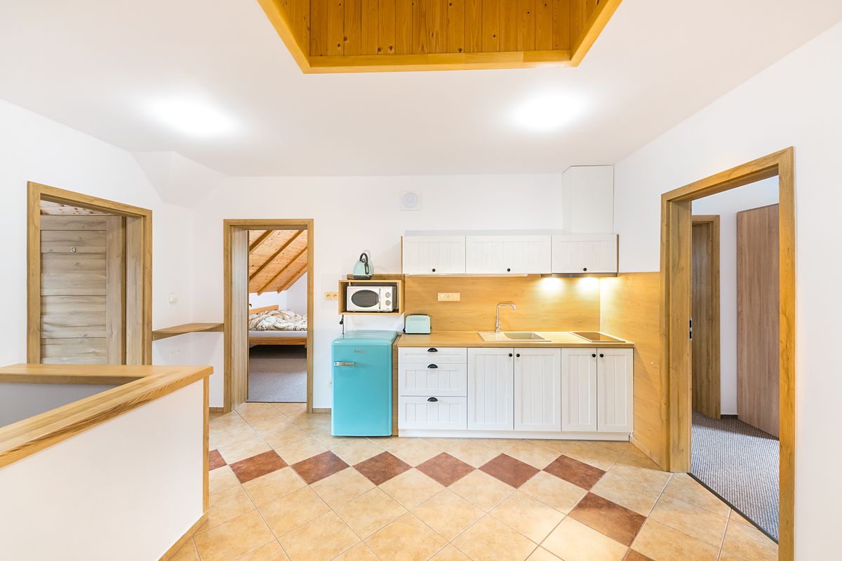 Prodej ubytovacího zařízení 263 m² – fotografie 2