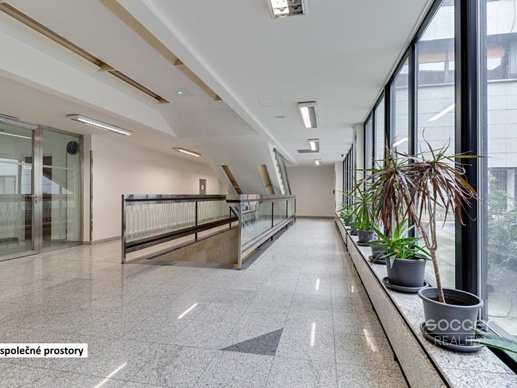 Gewerbefläche zur Miete, 35 m² (7 von 12)