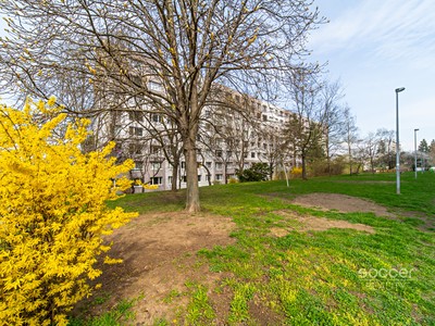 Pronájem bytu 3+1, 69 m² (2 z 18)