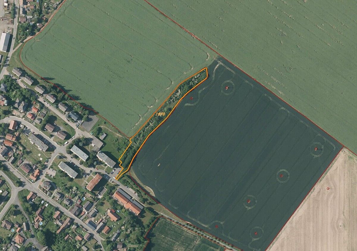 Prodej pole 6167 m² – fotografie 5