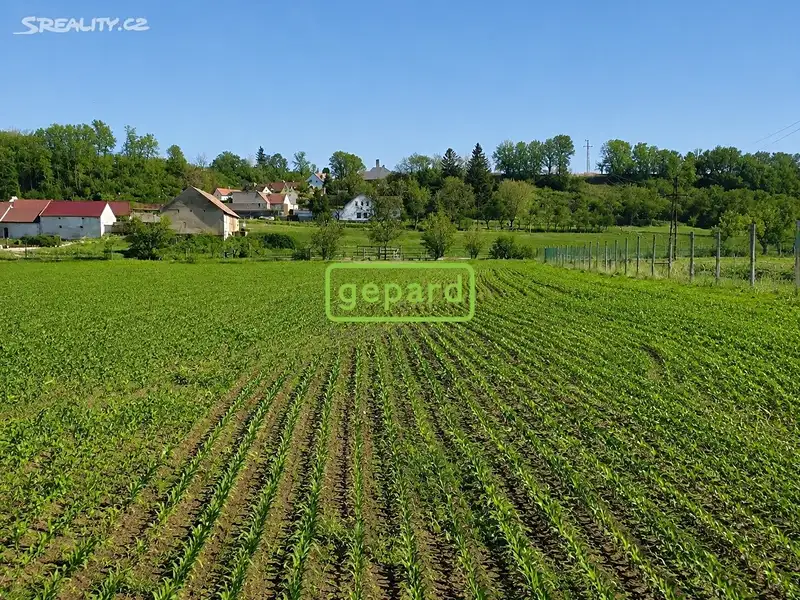 Prodej stavebního pozemku 6937 m², Sedlec – náhled fotky 2