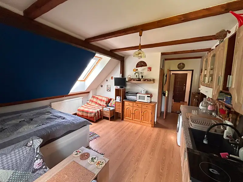 Prodej bytu 1+1 34 m², Janův Důl – náhled fotky 2
