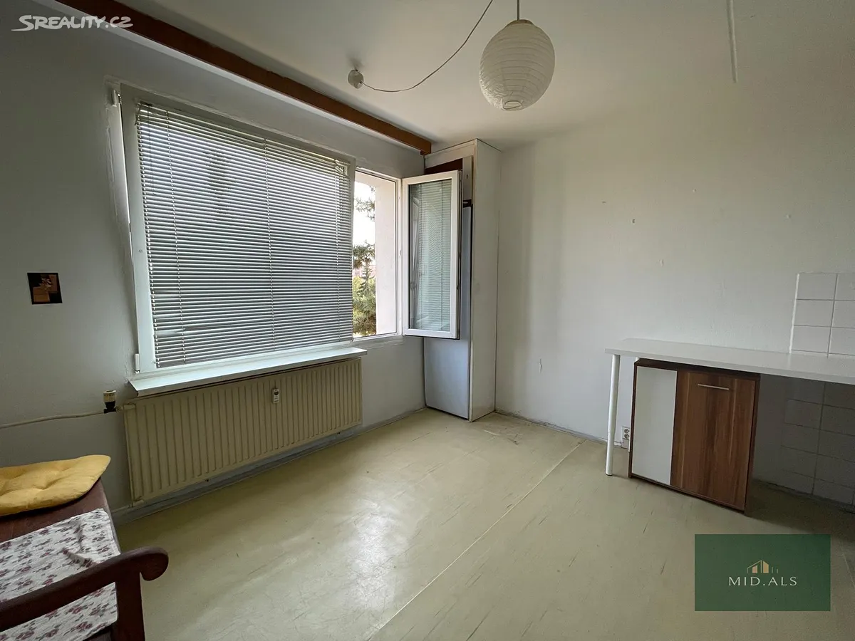 Pronájem bytu 1+1 39 m² - Widok 4