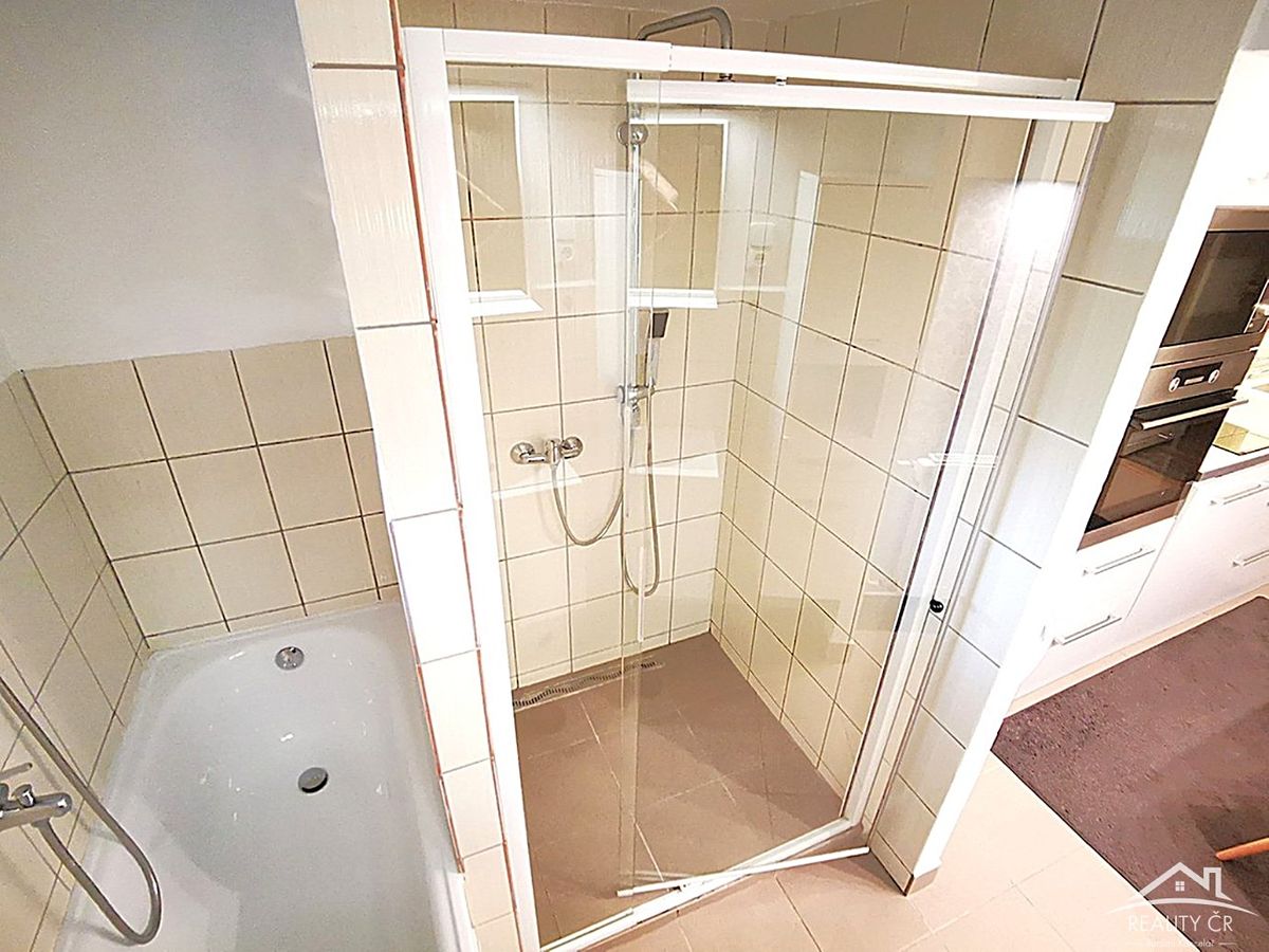 Pronájem bytu 1+1 50 m² – fotografie 3