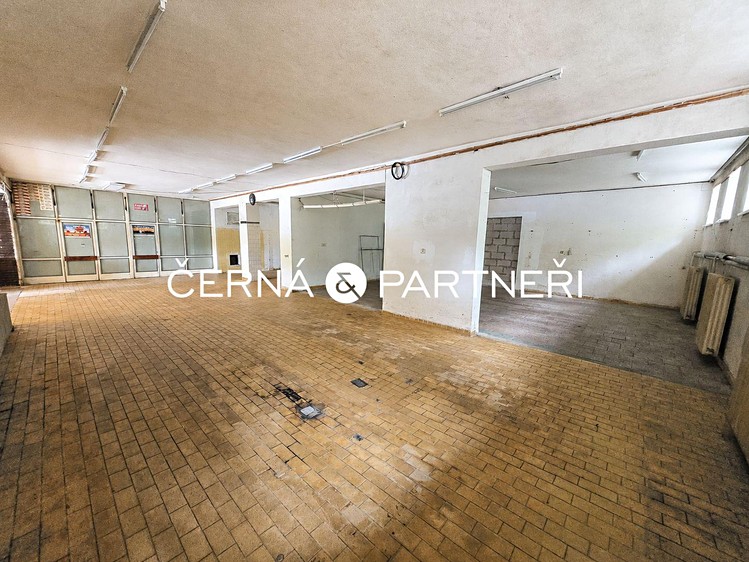 Gewerbefläche zur Miete, 319 m² (3 von 10)