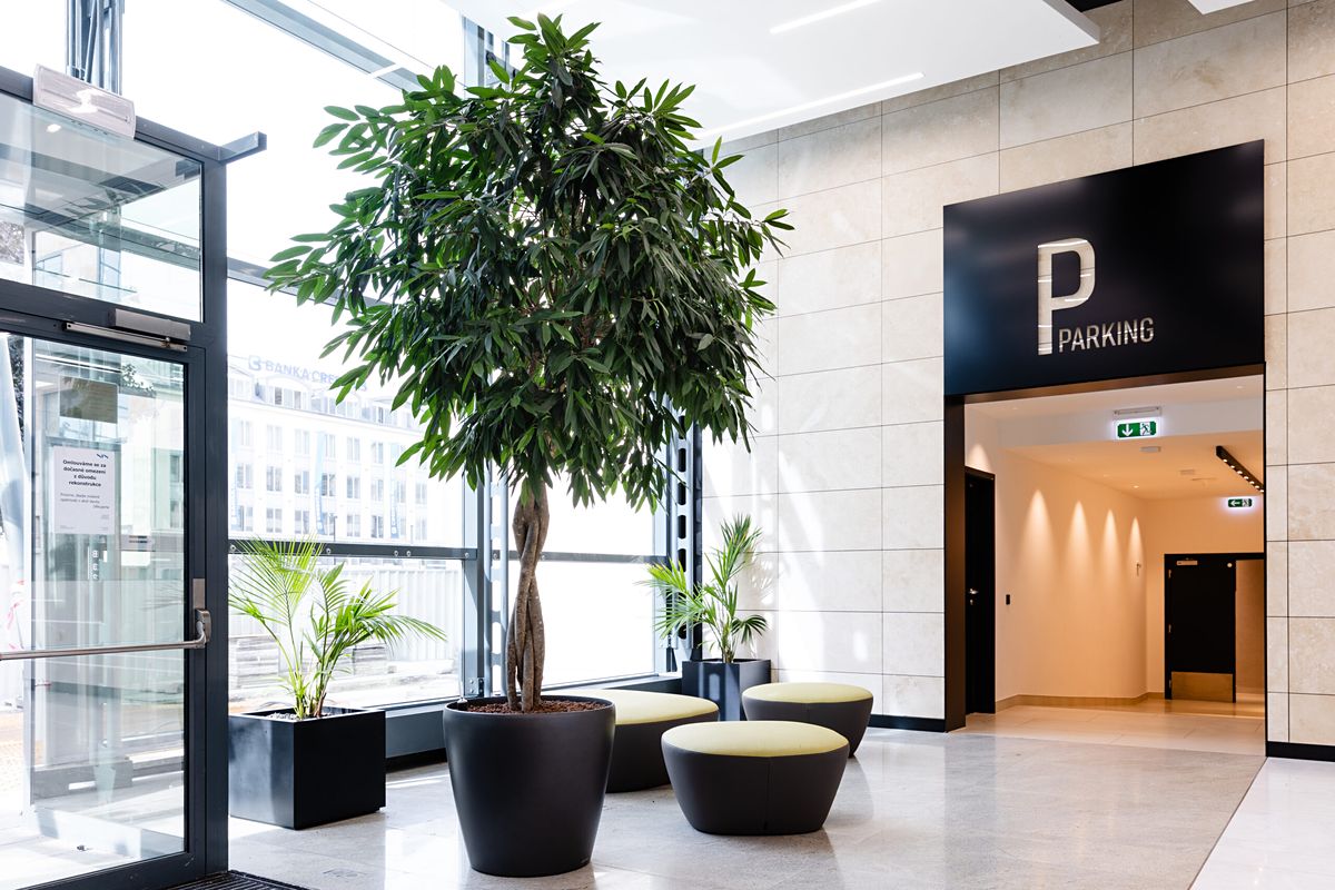 Pronájem kanceláře 329 m² – fotografie 2