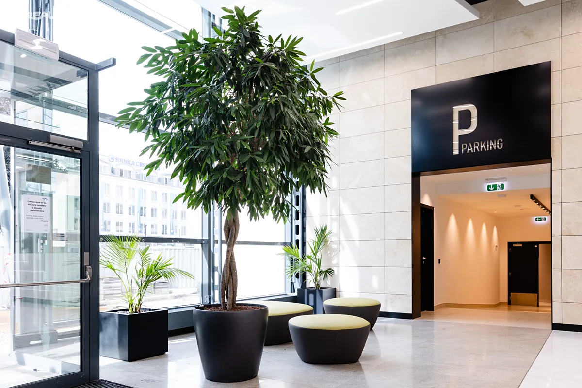 Pronájem kanceláře 329 m² – pohled 2
